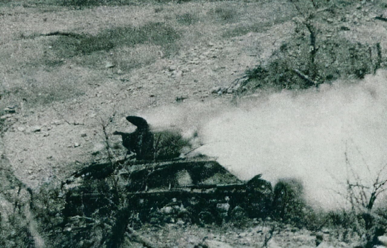 三个月搞出的山寨货,比正品还好用,志愿军手中的51火啥来头?