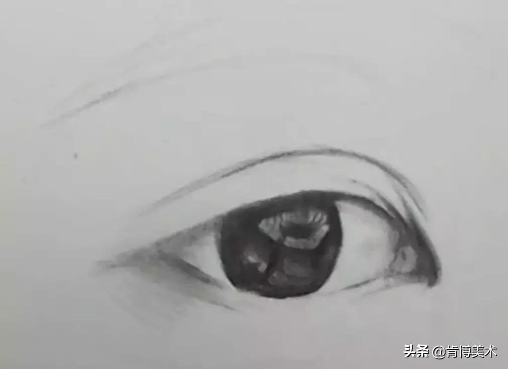新手学素描必备的20个知识点,怎么学习画素描零基础学素描教程