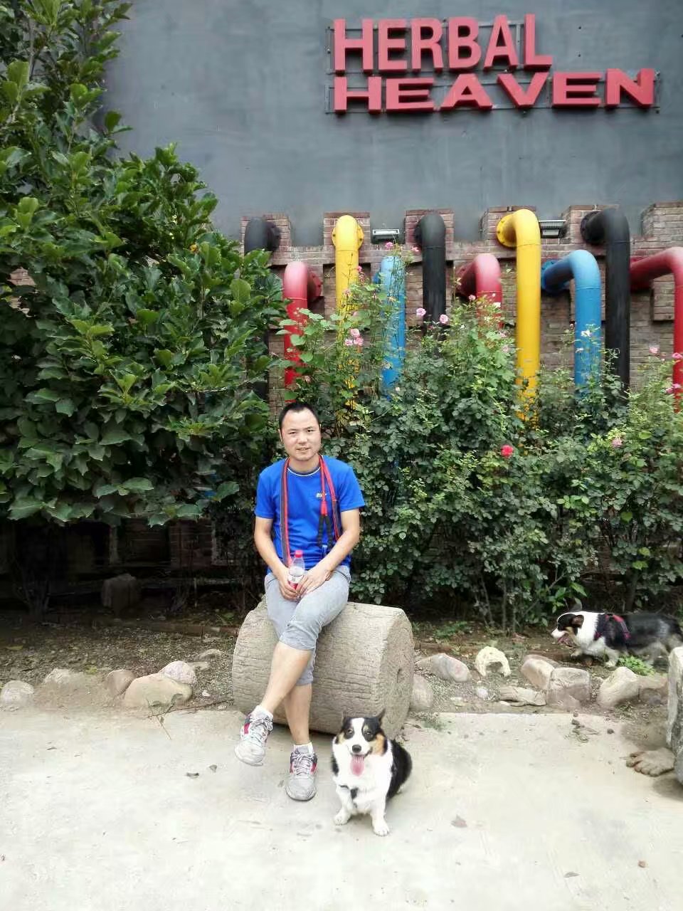 打卡食草堂,打卡素食茶馆餐厅