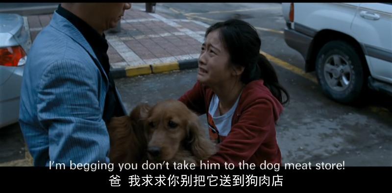 狗十三中的李玩最后怎么样了,狗十三对李玩的评价