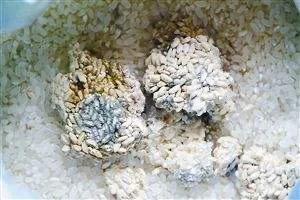 很常见的霉菌,你肯定不知道它对养鸡的危害有多大