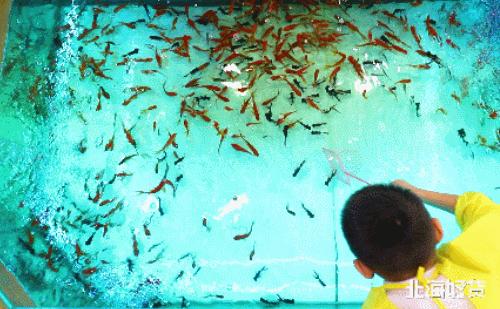 运通汽车购车节,运通嘉年华夏季用车知识