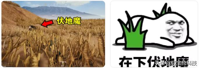 杰哥在云服务器8年的发表Foxtable实战的网络安全经验总结