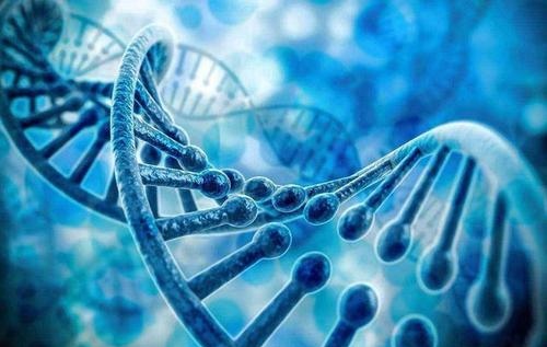 机械电气专业是干什么的,机械电工专业怎么样