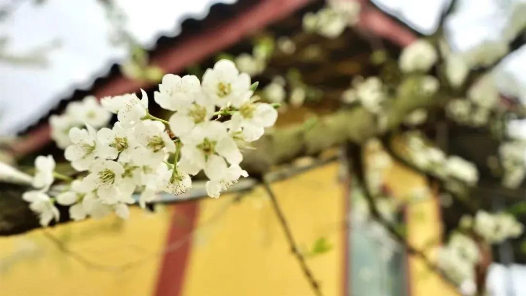 每周摄影作品全集,摄影作品展活动4k视频