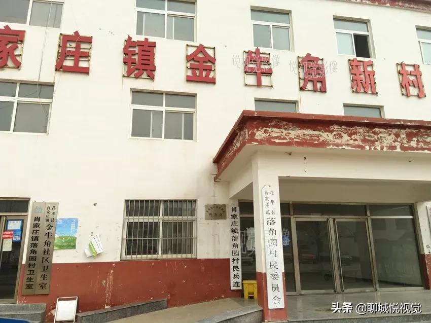 茌平“菜瓜打金牛”，王菜瓜啥也没得到，罗家园落下金牛角