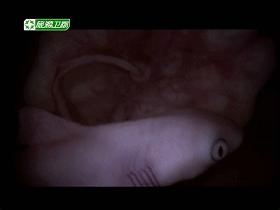 口碑炸裂宝藏纪录片推荐,宇宙生命探索纪录片