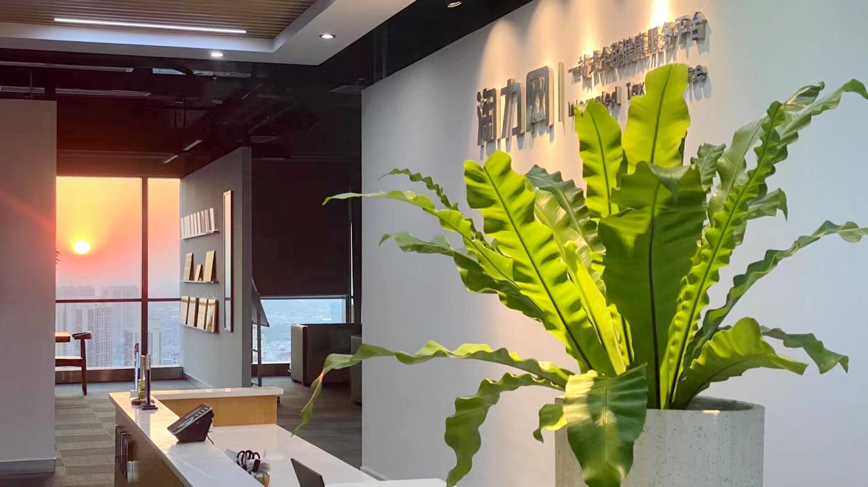 专访淘力网刘石创：聚焦财税软件科技创新，赋能税务高效管理