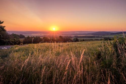 关于新型冠状病毒感染的心理问题,怀疑自己新冠心理疏导的最好方法