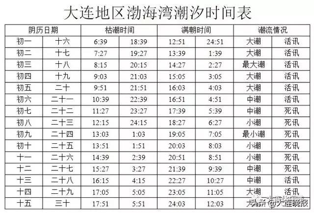 收藏！中秋有大潮来看大连最全赶海地图