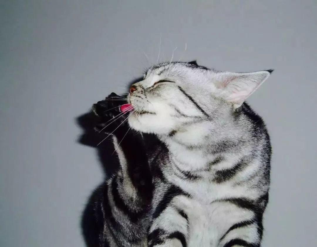 张译的运气,张译运气好的视频