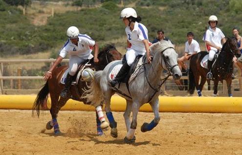 你们见过篮球；见过马球，但是你们见过马篮球吗？