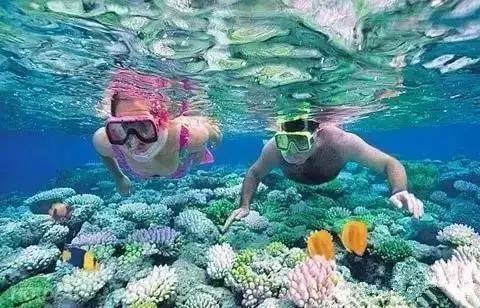 越南芽庄最便宜的旅游攻略,越南芽庄旅游攻略必买清单