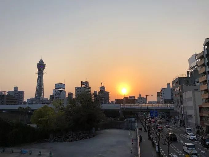 日本的樱花又开了哦,日本樱花又开了是什么梗