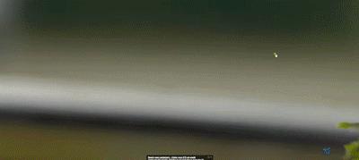 国际茶文化节,第四届中国国际茶文化节