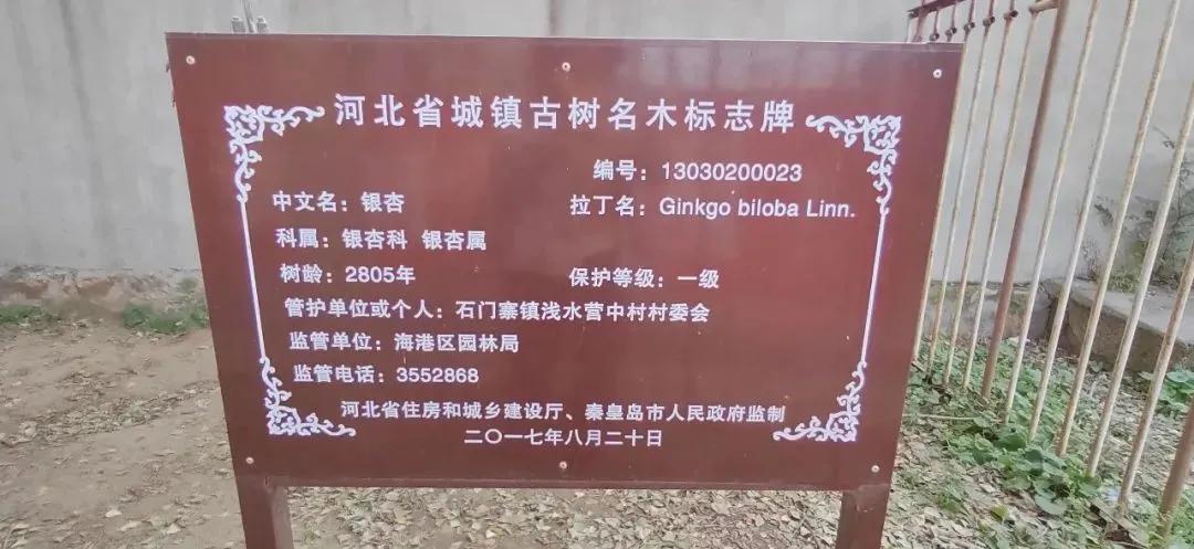 秦皇岛求仙入海恐龙馆,秦皇岛秦始皇求仙入海处遗址图片