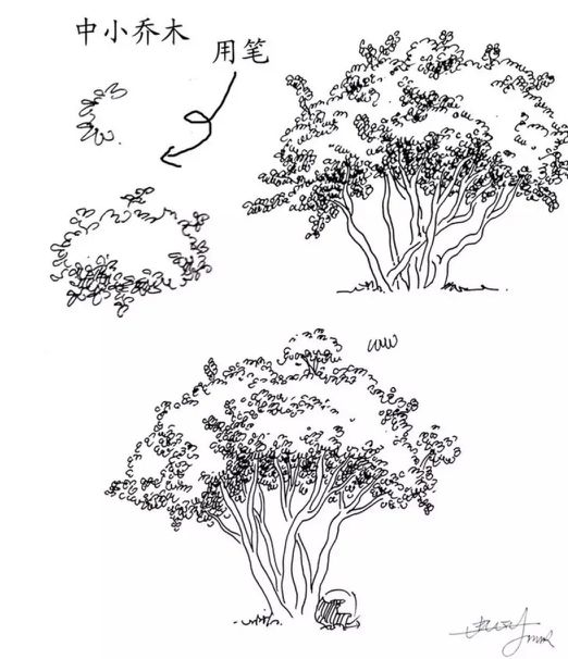 速写风景简单入门视频树木石头,干货40种水彩花卉临摹素材