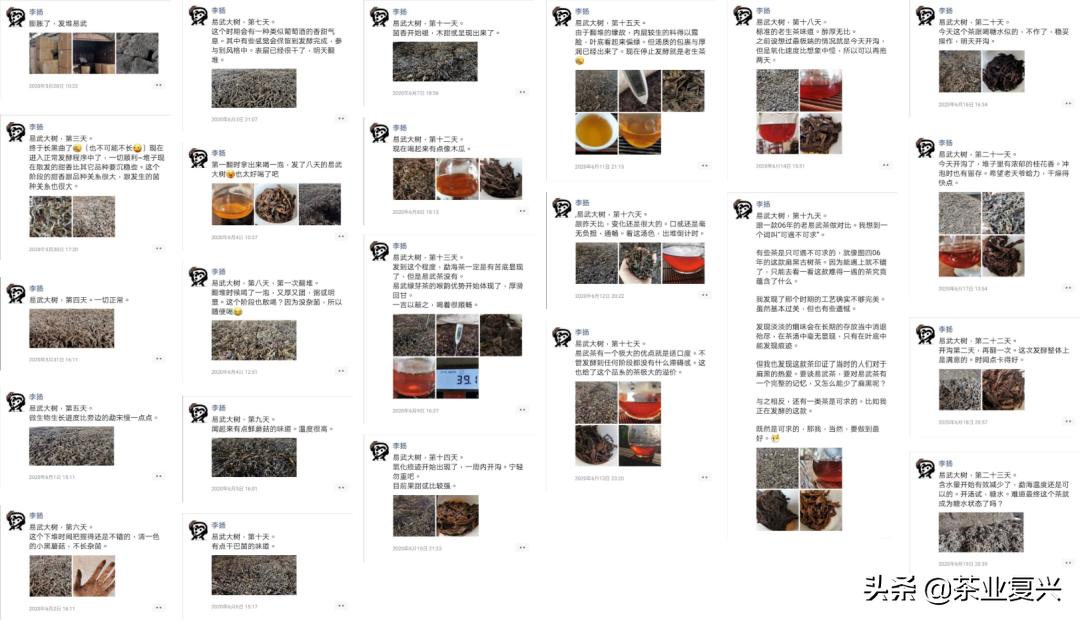 如果没有会喝易武茶的人，好茶的存在就没有意义