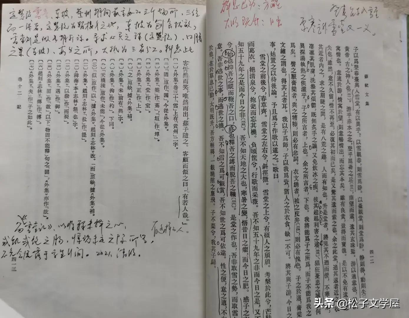 苏轼雪堂诗,苏轼黄州雪堂