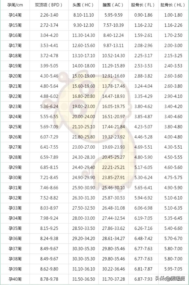 怎么判断胎儿腹围大小图解,怎么判断胎儿双顶径大