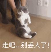 PPT不念“屁屁T”，APP也不是“A屁屁”！老外怎么说？