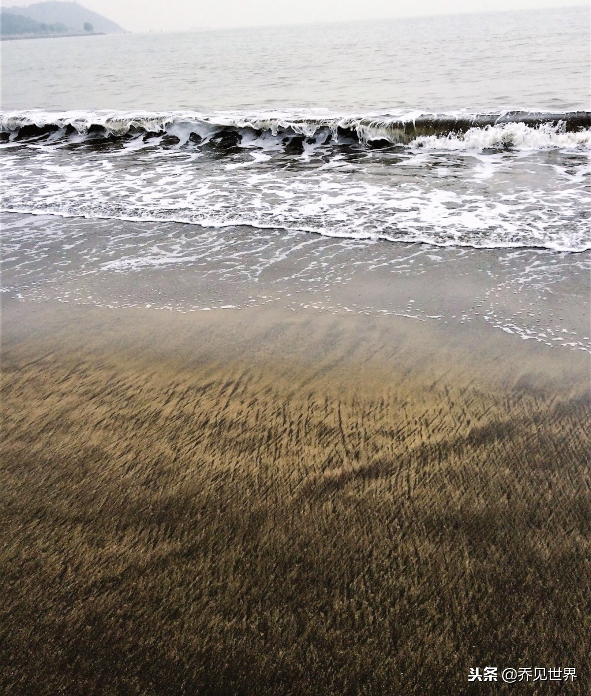 澳门值得打卡的景点,澳门打卡必去景点晚上