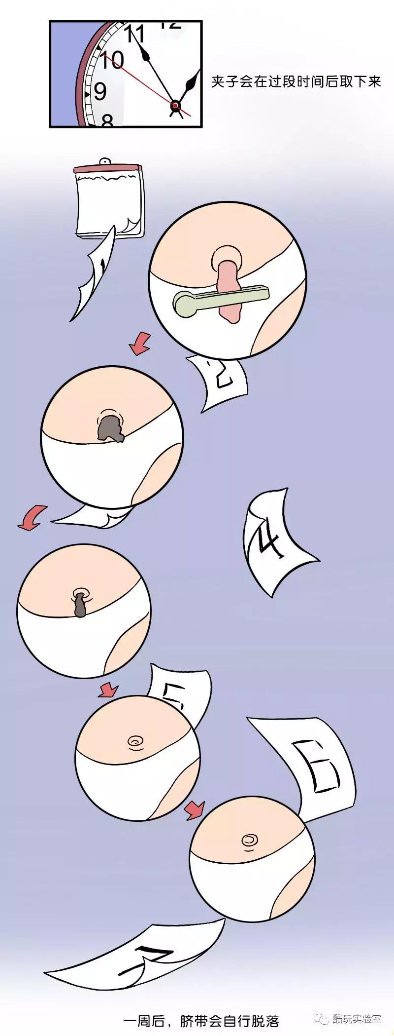 人类身上的第一道疤痕---肚脐眼，好神奇！（漫画）