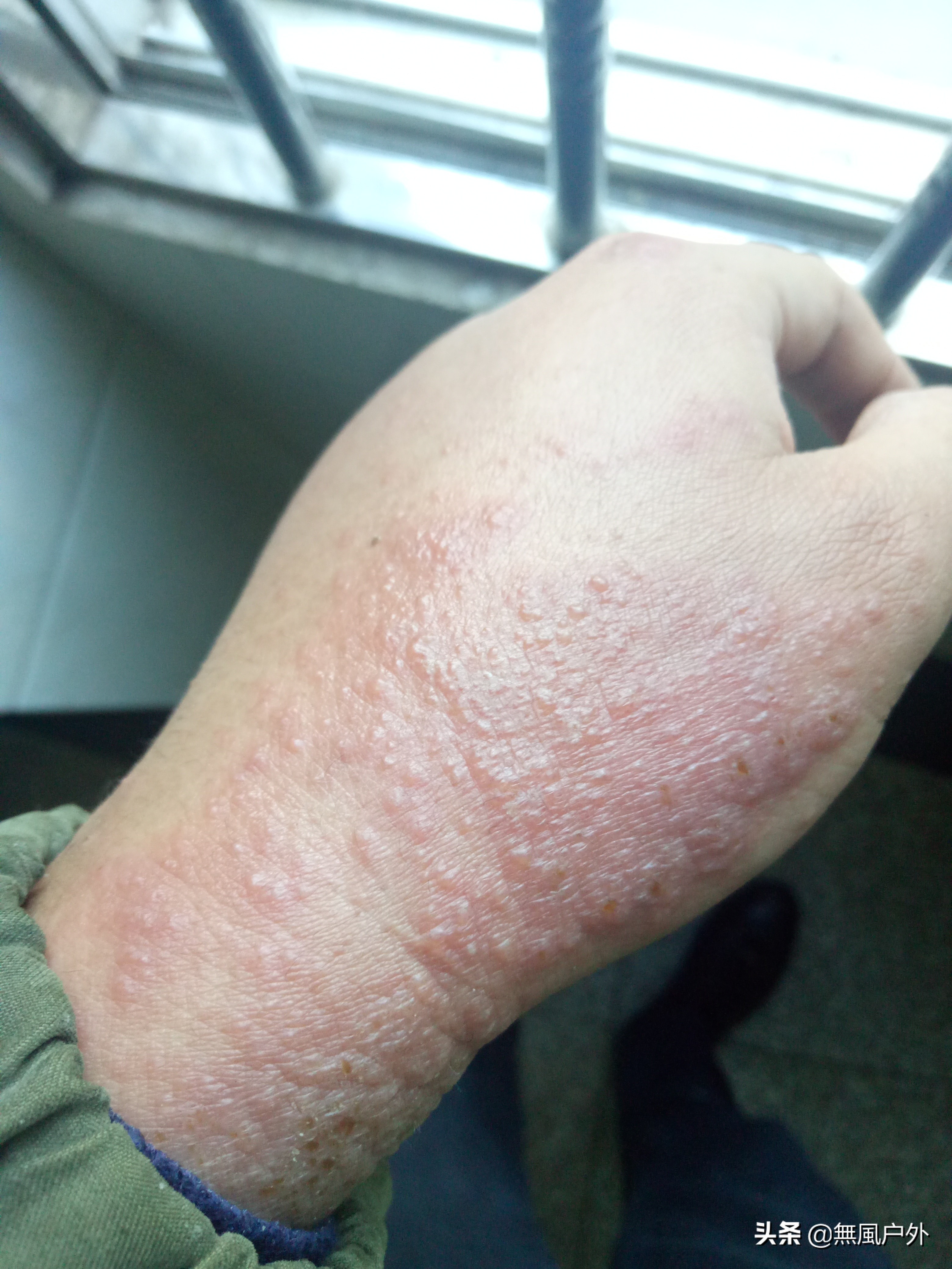 竹制鱼竿怎么用最好呢图解,竹鱼竿diy教程拼接