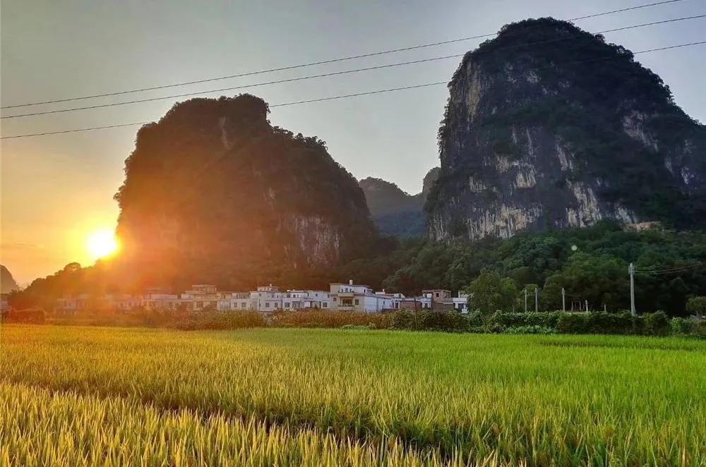 油菜花风景点,罗平县小油菜花