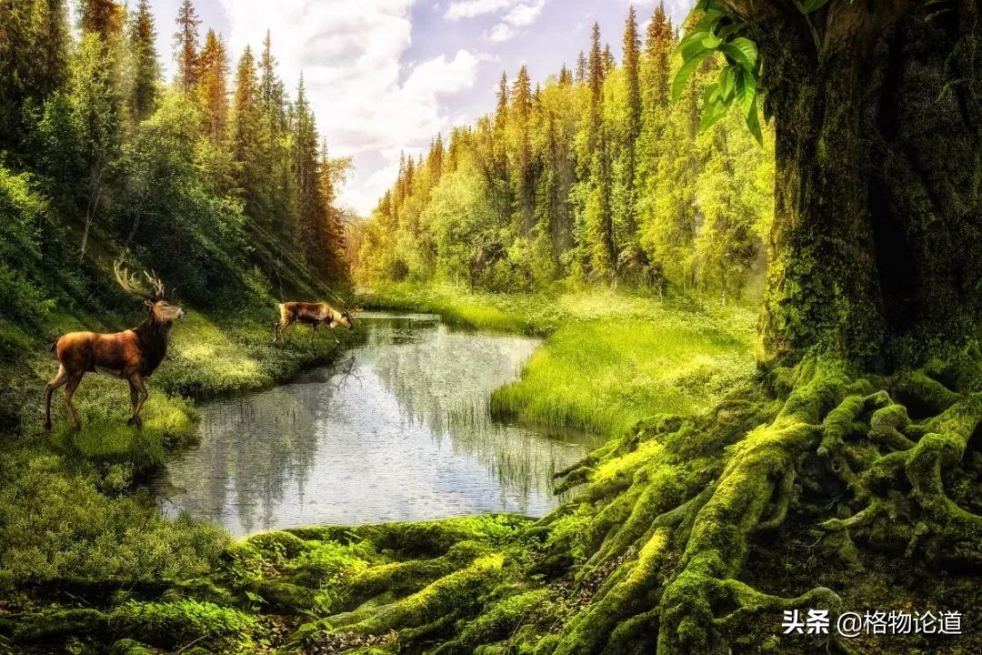 初三复习资料推荐全一册,超级好用的复习资料