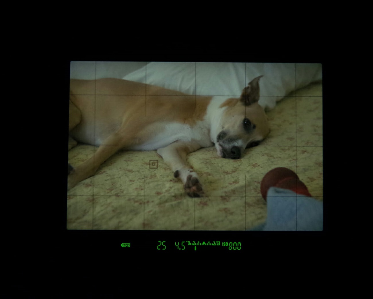 nikon18-105单反相机入门教程,单反相机基础知识入门