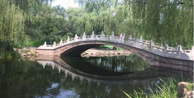 如何预防或减少药物副作用,免疫治疗药物副作用