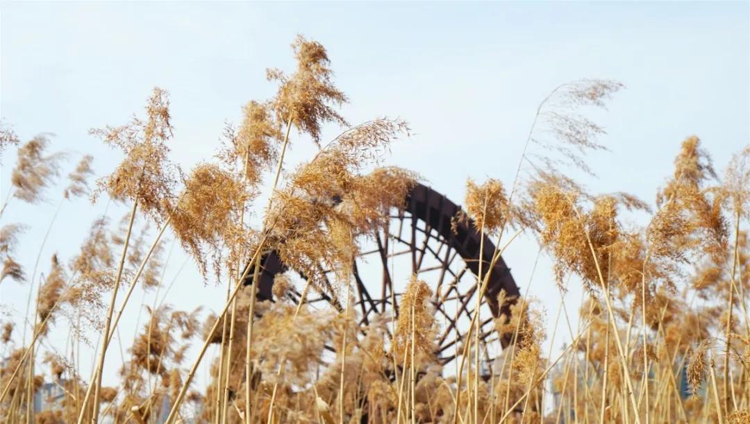 郑州免费游玩公园推荐,郑州新公园开放了吗