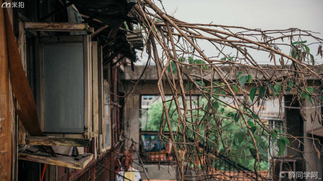 隐藏在成都的“小香港”,来自上世纪的复古风情
