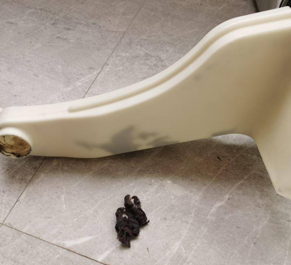 双11装修家电推荐,今年双11最值得买的家电