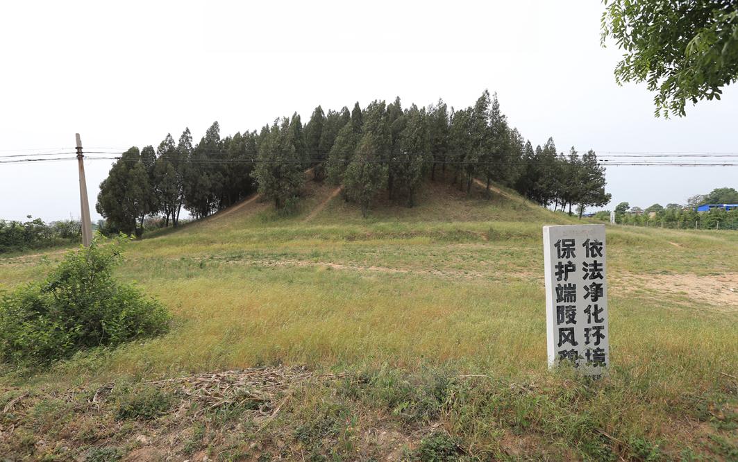 唐武宗端陵内部,唐武宗端陵考古