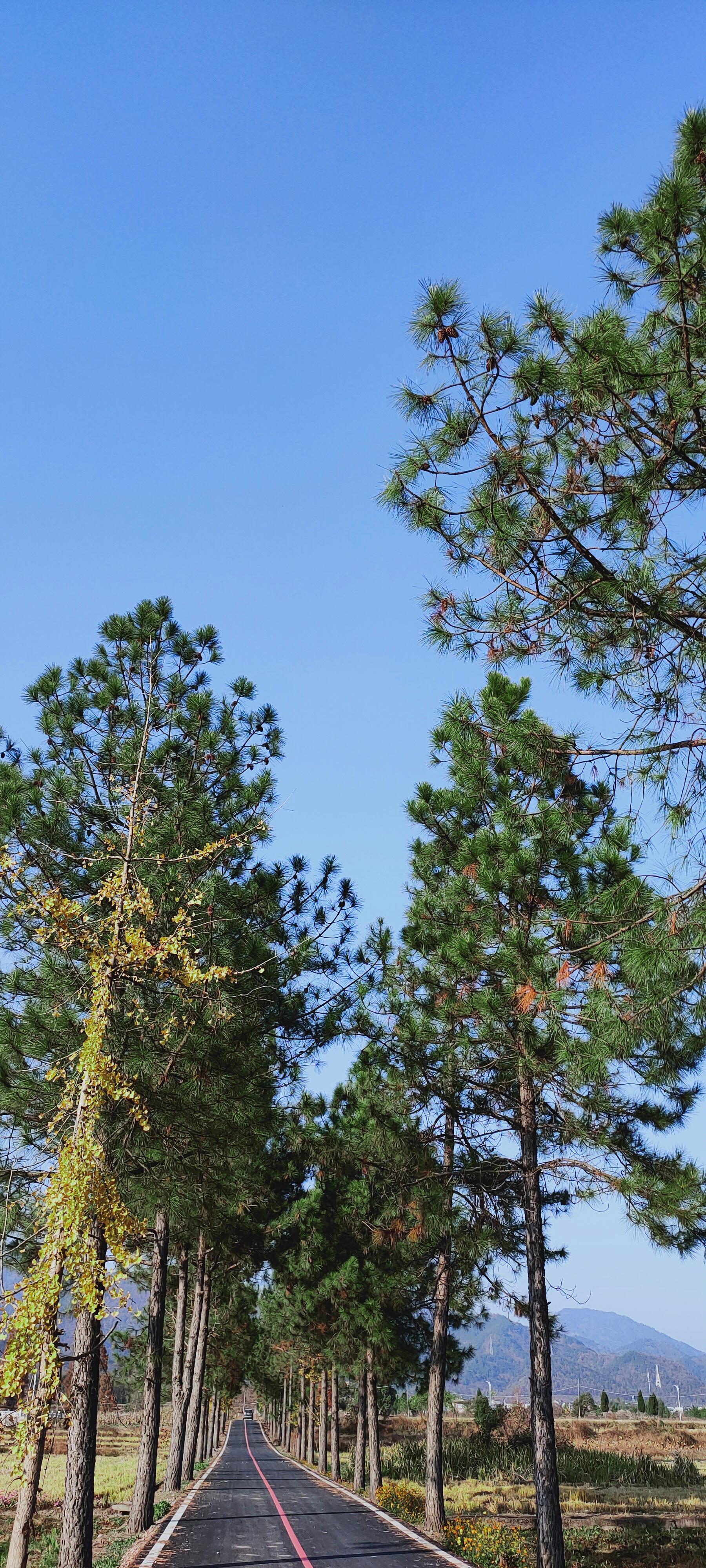 大雪前日访东阳市湖溪镇八里湾