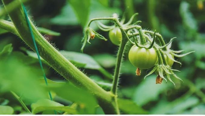 童话小镇在哪里,山东梦幻童话小镇在哪里