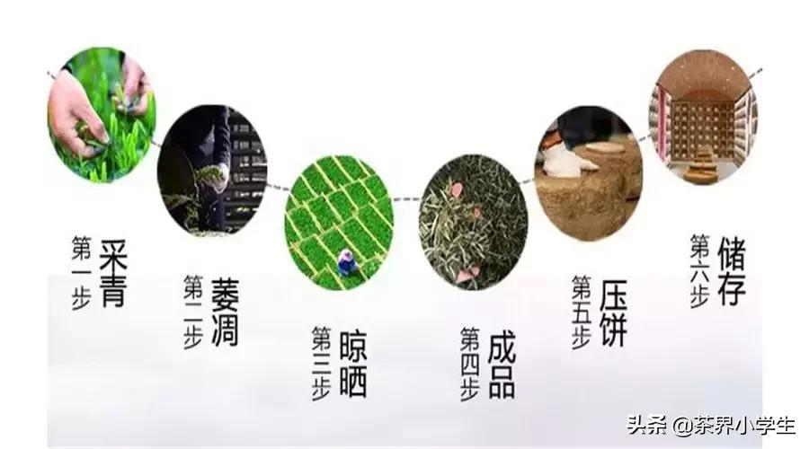 三国演义中吕布和亮剑中楚云飞,亮剑楚云飞和刘备