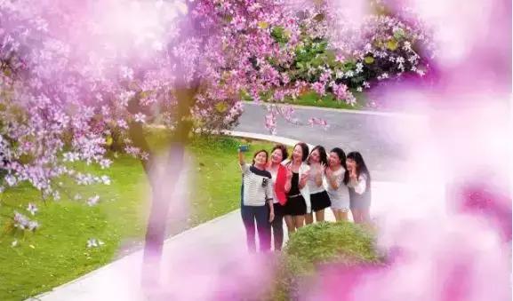 百里柳江“龙凤胎”，这块地为什么这么贵？玄机在这里