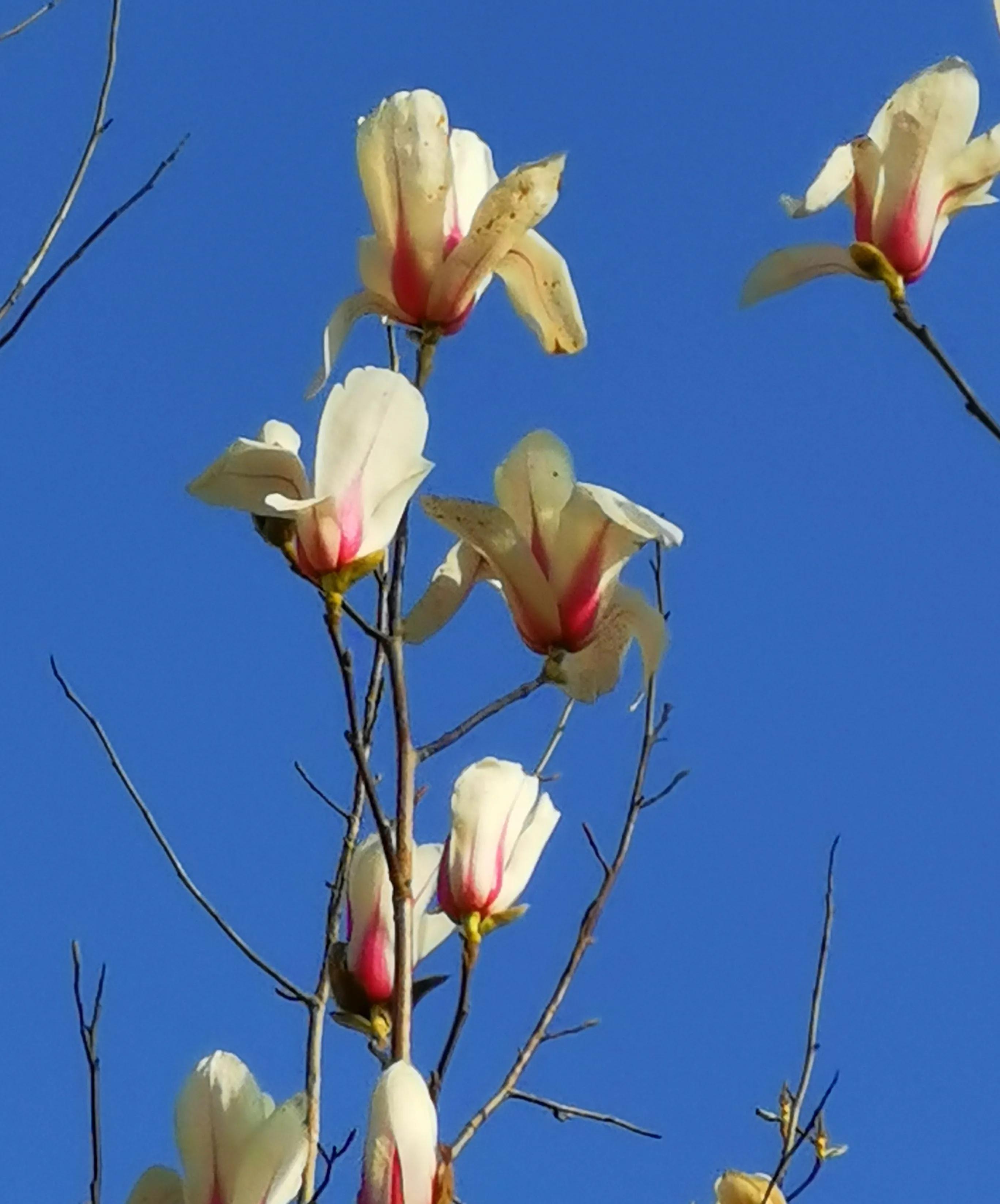 *访上**不当也会违法的（详解）