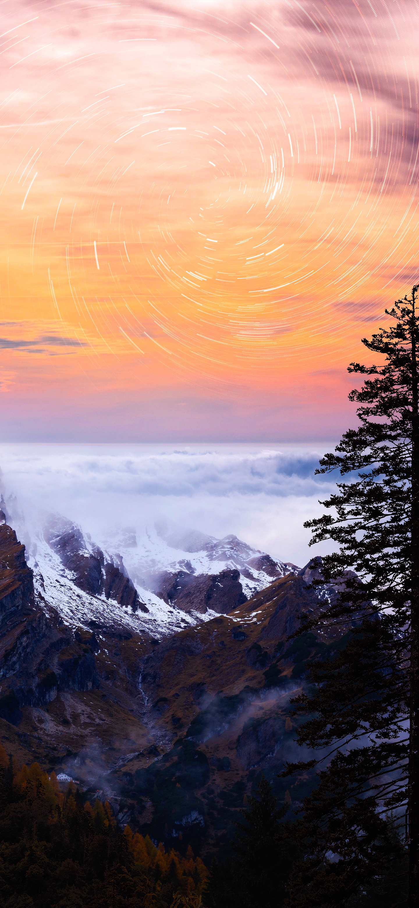 高清花和水的结合壁纸,风景壁纸高清全屏高级感组合