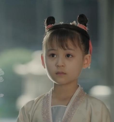 宋仁宗唯一的女儿,宋仁宗的妃子