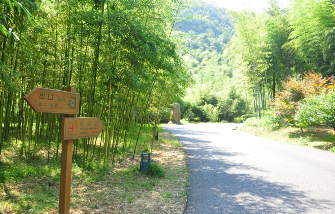 瀹滃叴绔规捣璇︾粏鏀荤暐,瀹滃叴绔规捣娓稿鏀荤暐