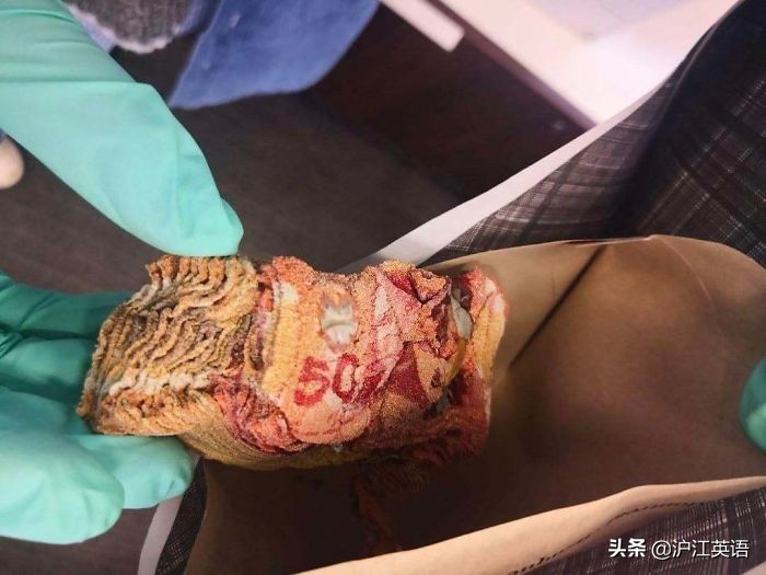 把5000块钱放进微波炉加热消毒，会发生什么？网友分享作死瞬间