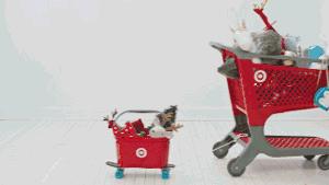 火爆的costco靠什么赚钱,costco火爆到被迫歇业