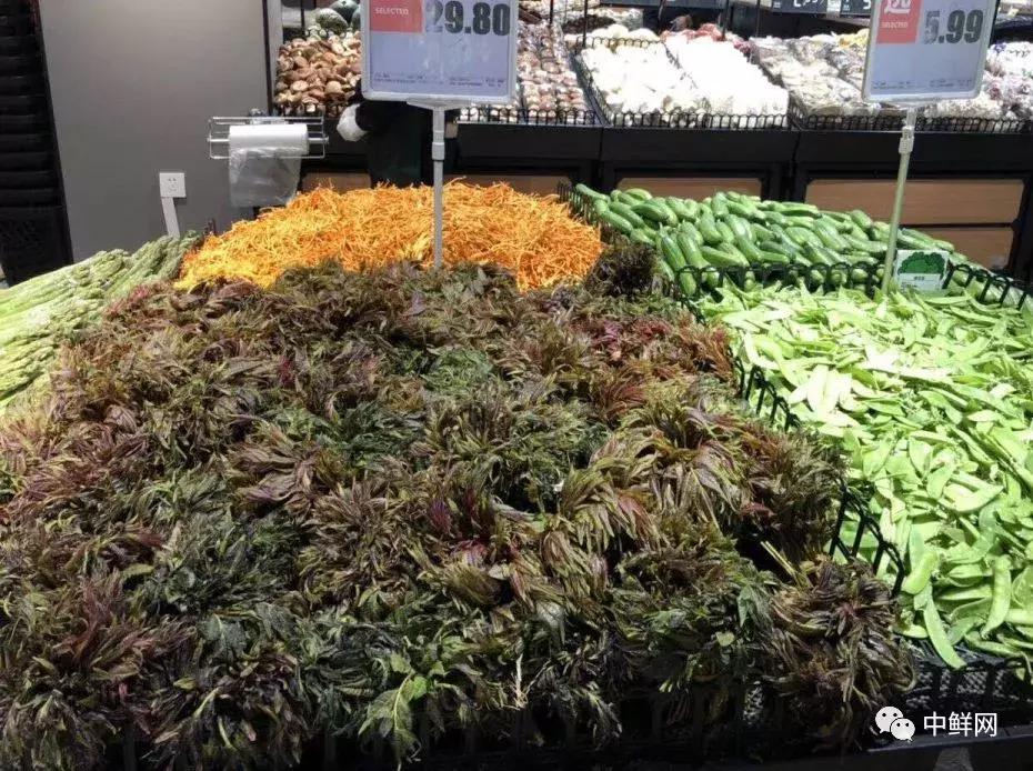 最近访客怎样处理,最近访客怎么总消失