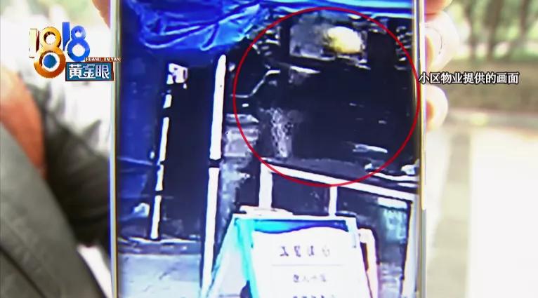 大姐骑自行车撞骨折,大姐骑电动车摔在沟里