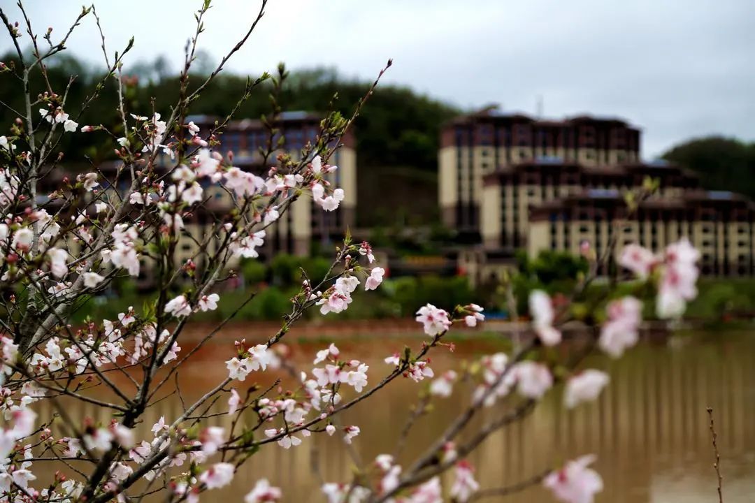 南平松溪风景区,松溪县美丽的山城