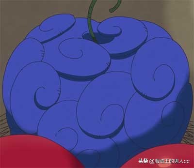 海贼王中的所有自然系恶魔果实,海贼王已经出现的动物系恶魔果实